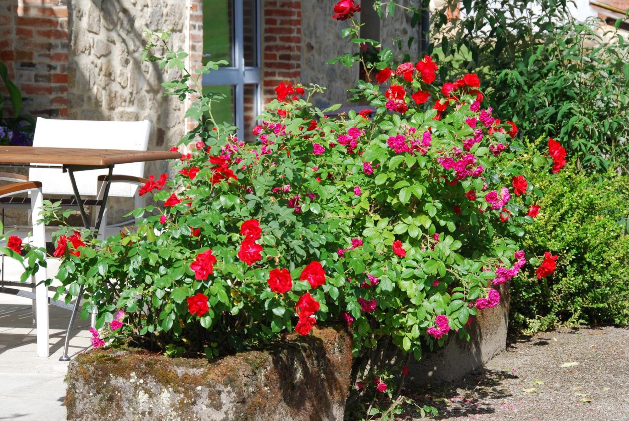 Les Maisons De Concasty Boisset  Habitación foto