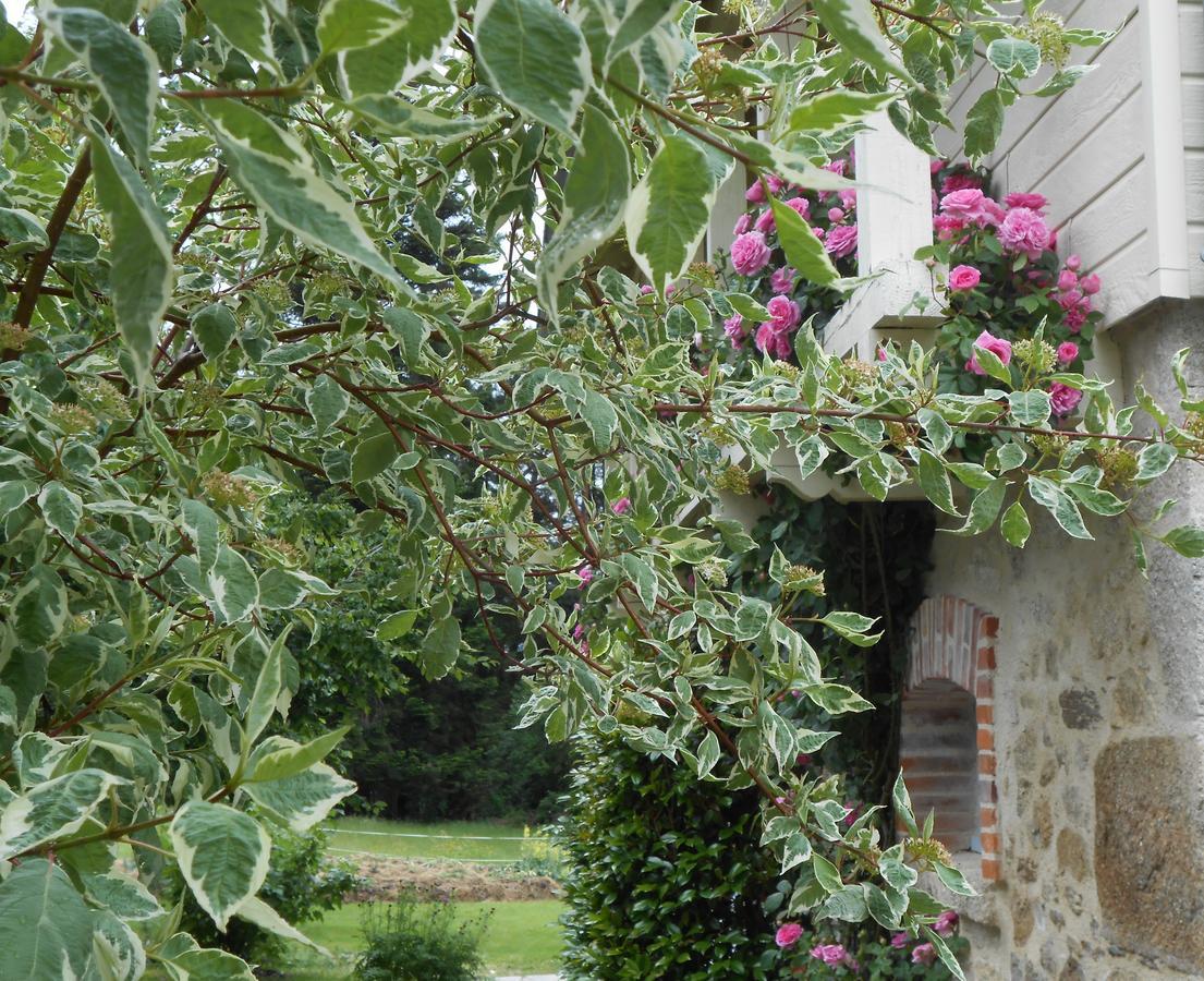 Les Maisons De Concasty Boisset  Exterior foto